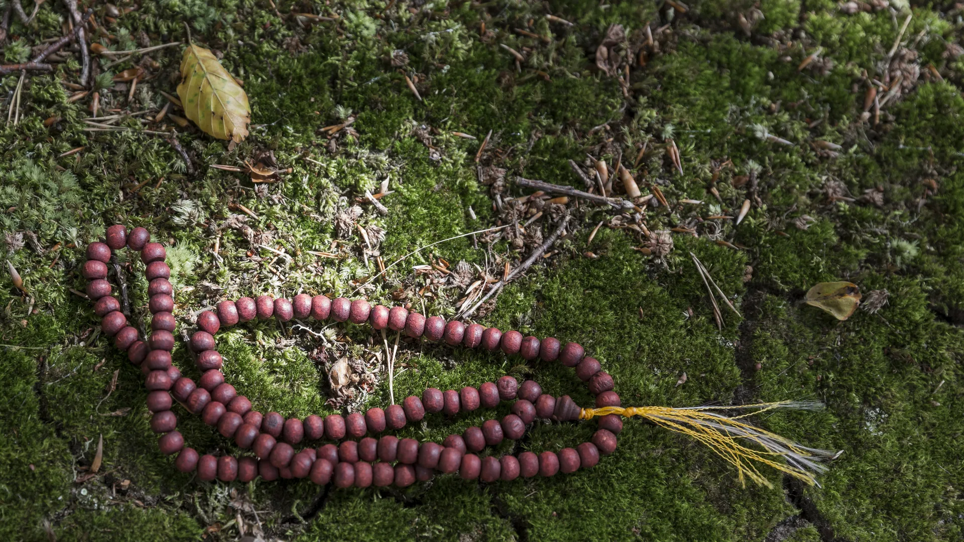 Mala de meditação pousada sobre musgo, na Quinta do Pé Descalço.