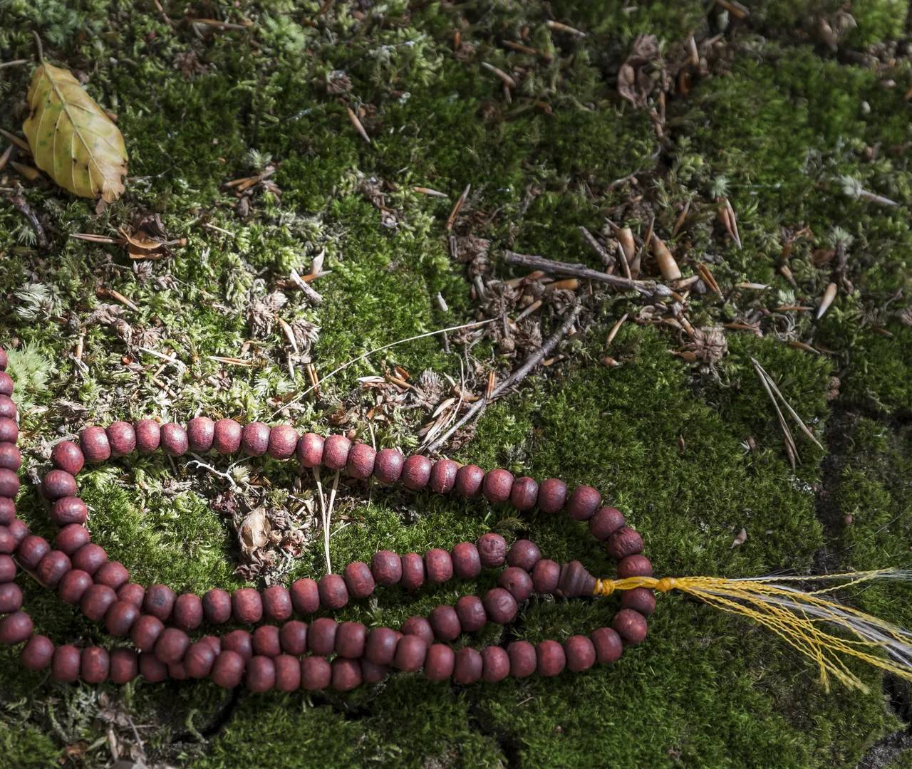 Mala de meditação pousada sobre musgo, na Quinta do Pé Descalço.